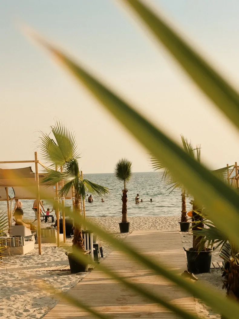 Moana Beach Bar on Arogi Beach near Fanari, seen through palm leaves with umbrellas and sunbeds beside the sea